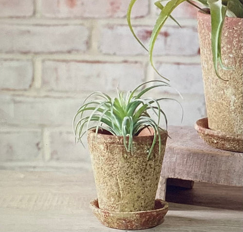 Distressed Ter/Sand Pot