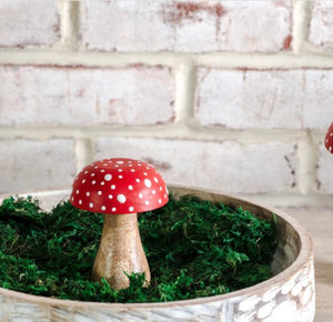4" Mushroom