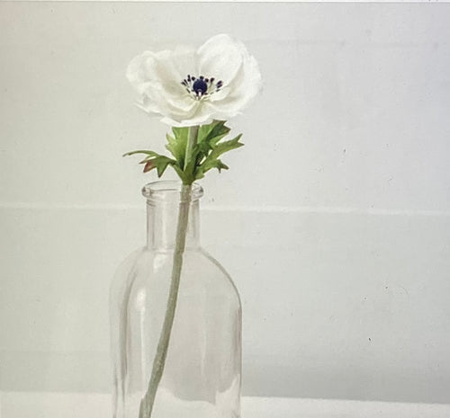 Poppy Flower