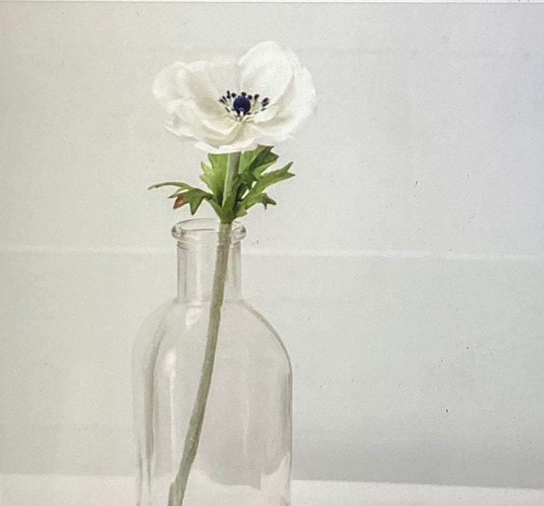 Poppy Flower