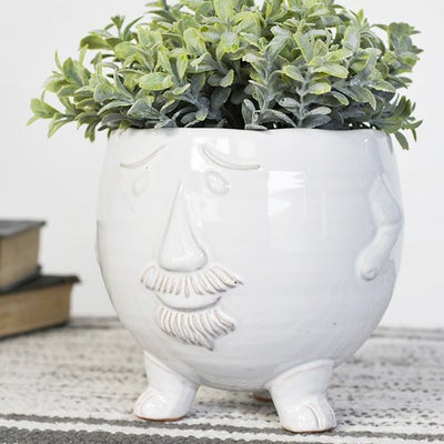 Mr. Pots Planter