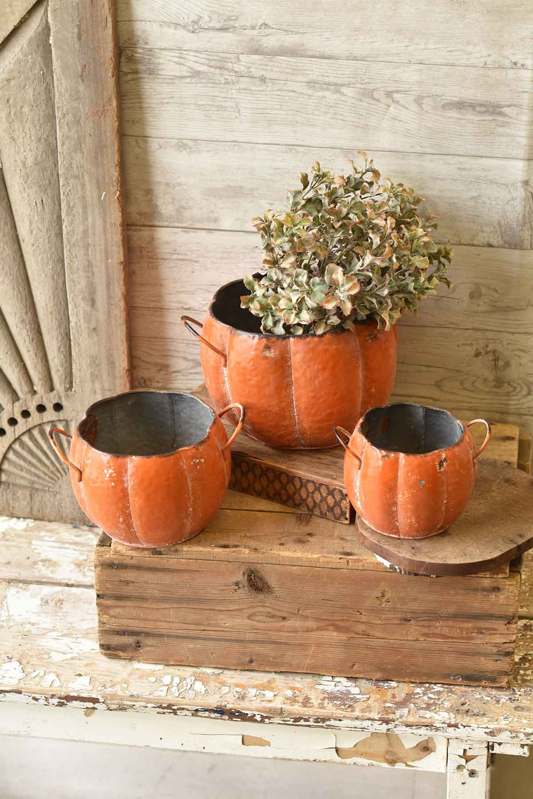 Pumpkin Planter