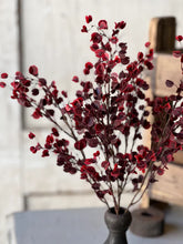 Load image into Gallery viewer, Rushing Red Bush