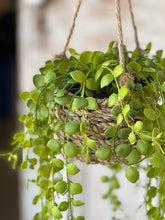 Load image into Gallery viewer, Brentwood Hanging Basket