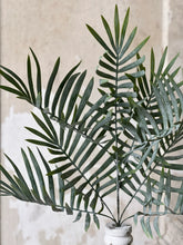 Load image into Gallery viewer, Placid Skies Palm Bush