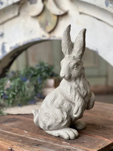 Watchful Bunny