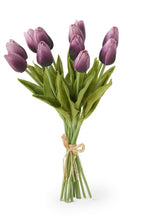 Load image into Gallery viewer, Tulip Bundle