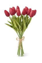 Load image into Gallery viewer, Tulip Bundle