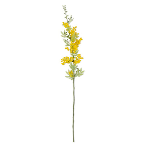 Yellow Goldenball Lead Tree Stem