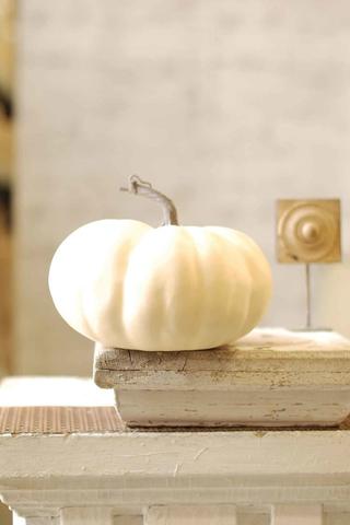 Cream Pumpkin