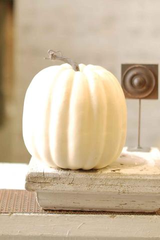 Cream Pumpkin