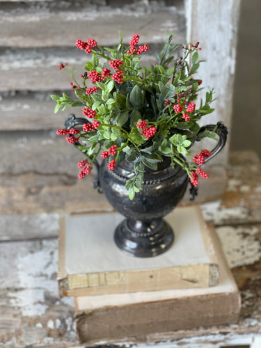 Nottingham Berry Bush