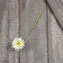 Load image into Gallery viewer, 13&quot; Gerber Daisy Stem