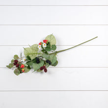Load image into Gallery viewer, Strawberry &amp; Raspberry Stem