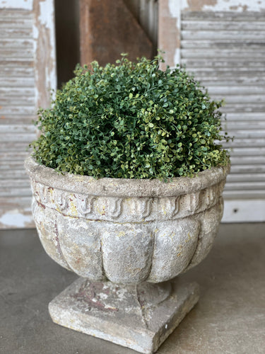 Pennington Boxwood Half Sphere