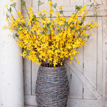 Load image into Gallery viewer, Yellow Forsythia Stem