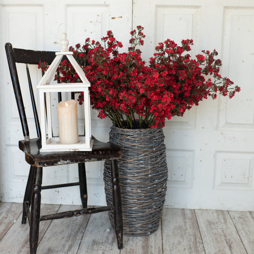 Red Flowering Stem