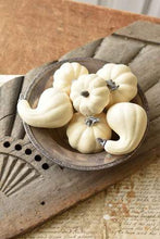 Load image into Gallery viewer, Fall&#39;s Folly Mini Pumpkins (6pcs)