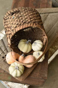 Fall's Folly Mini Pumpkins (6pcs)