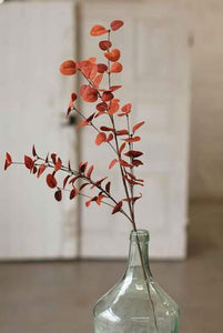 Penny Leaf Spray/Red