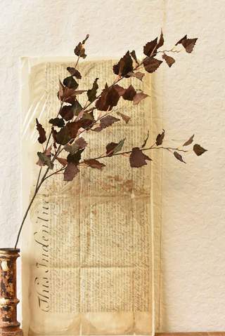 Falling Leaves Spray/Earth