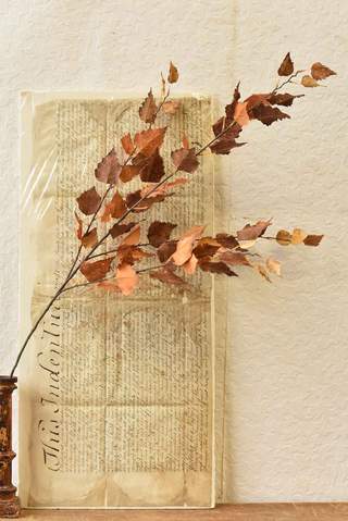 Falling Leaves Spray/Autumn