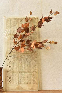 Falling Leaves Spray/Autumn