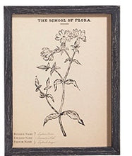 Load image into Gallery viewer, Flora Framed Art