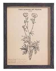 Flora Framed Art