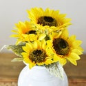 Sunflower Bunch