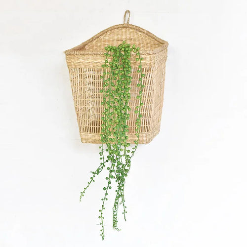 Dusty Hanging Greens