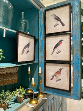 Load image into Gallery viewer, Herrington Hills Birds
